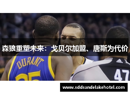 森狼重塑未来：戈贝尔加盟、唐斯为代价
